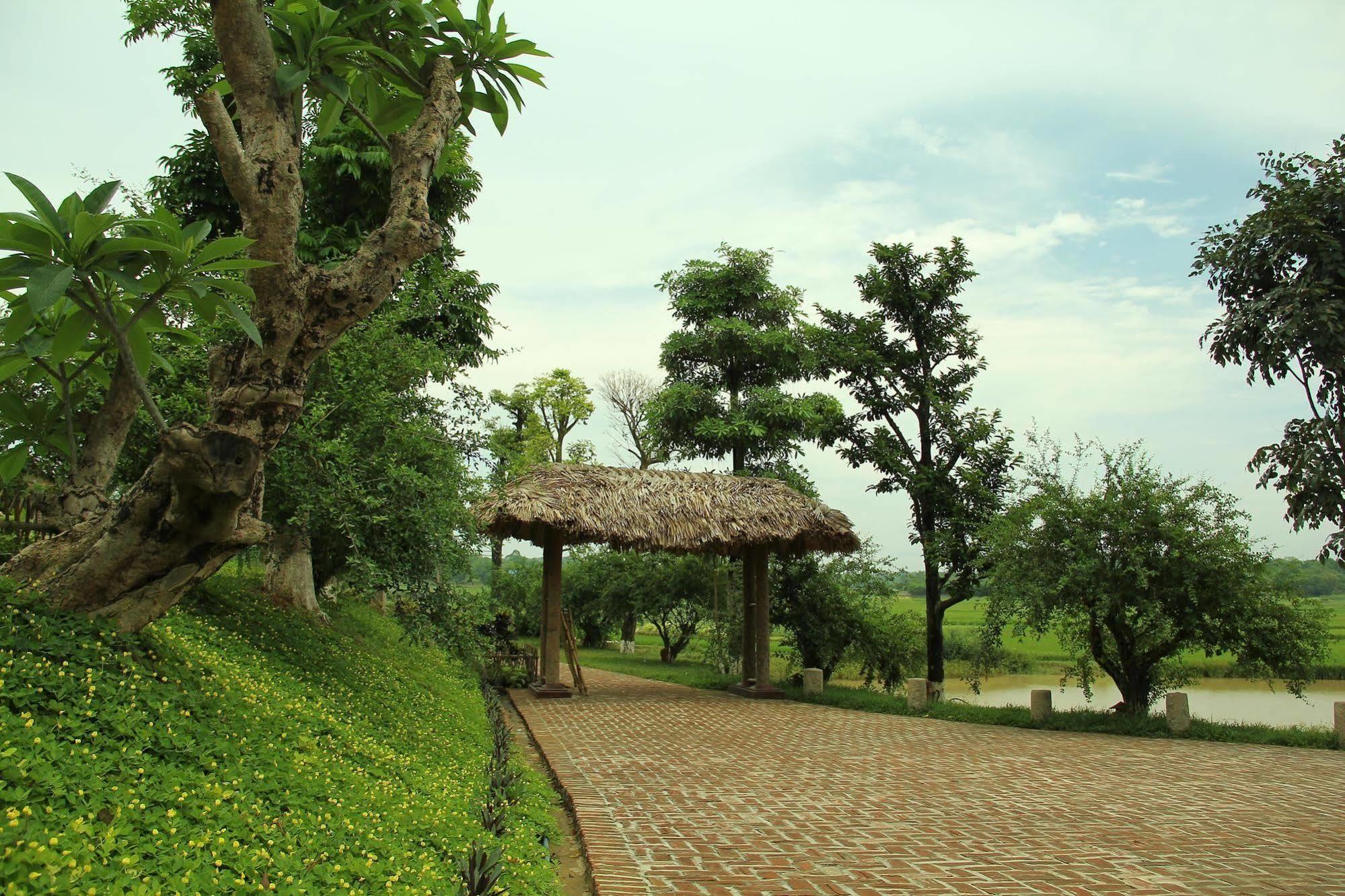 Moon Garden Homestay Son Tay Exterior foto